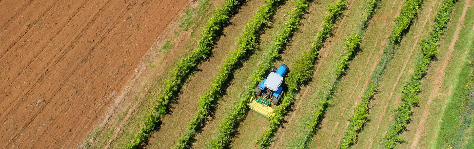 Falcon Agricultural Equipment - High-quality implements for farming