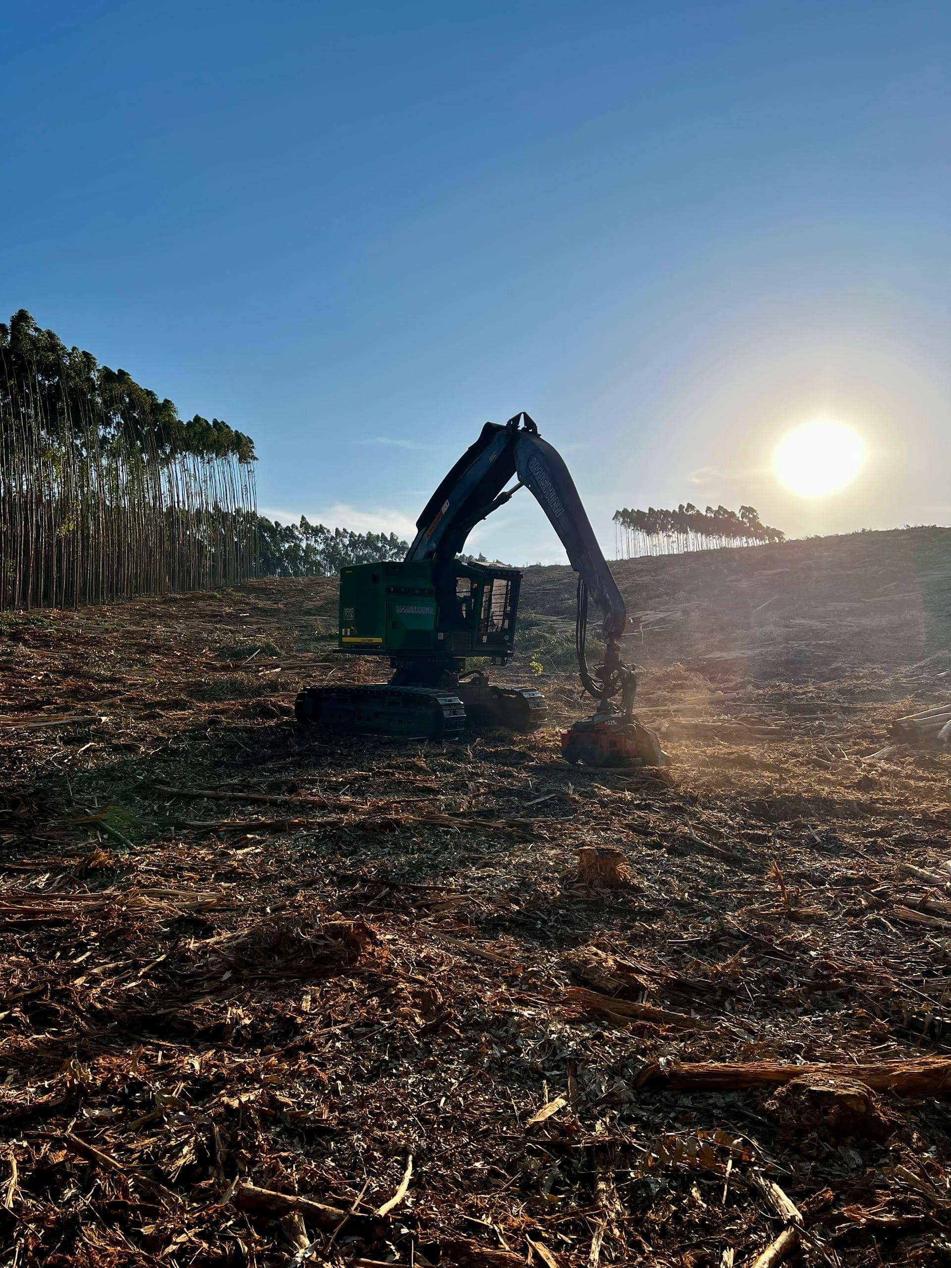 John Deere H Series Forestry Equipment in Action
