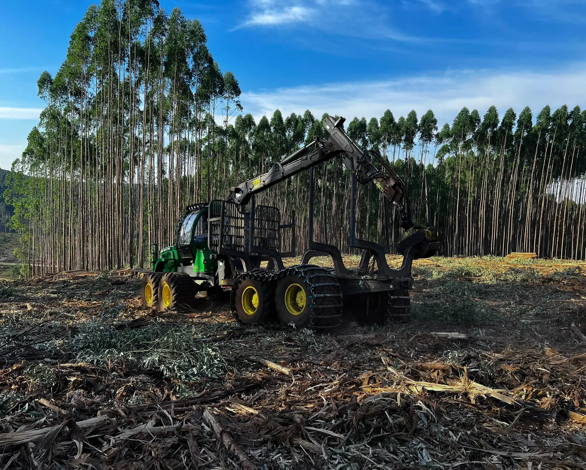 Forestry media 3