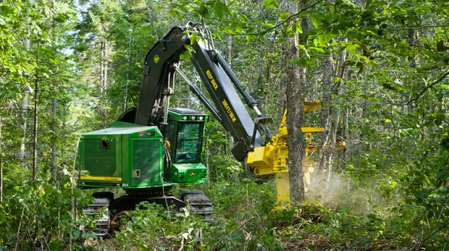 H225E Eucalyptus Head